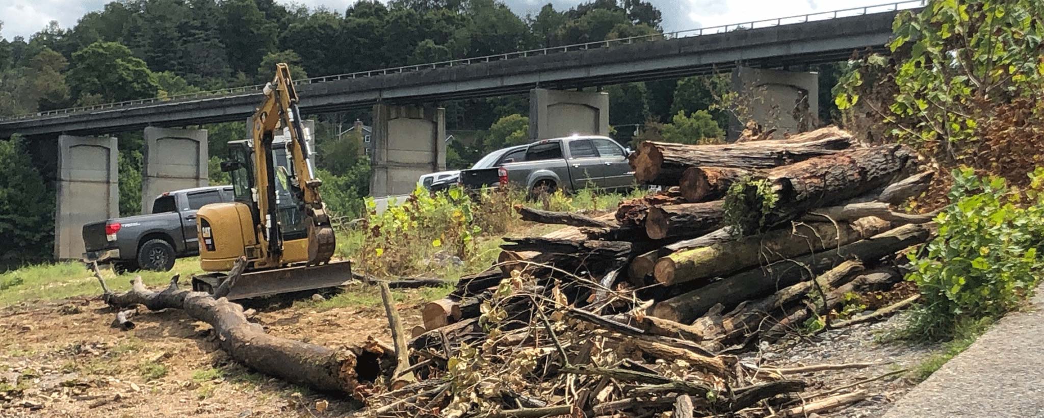 Boone Clean up