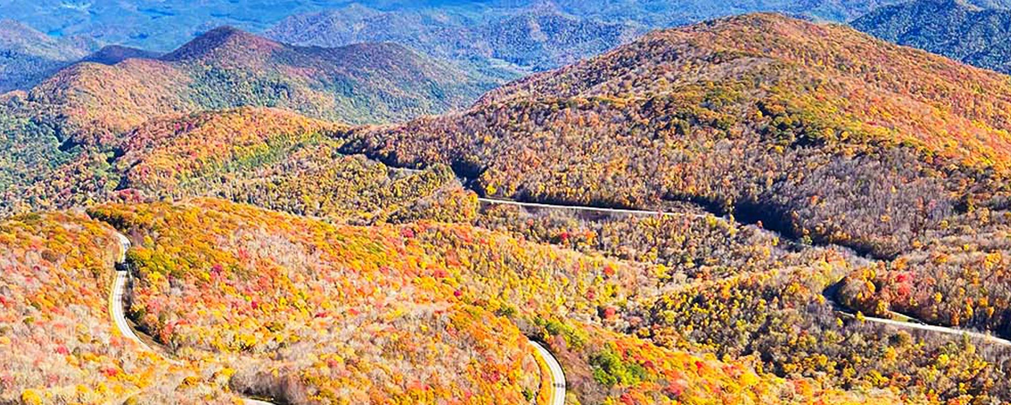 Fall picture