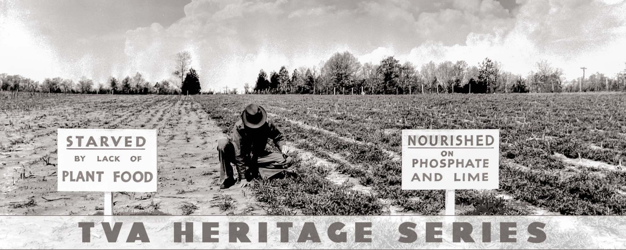 farmer in field tending plants