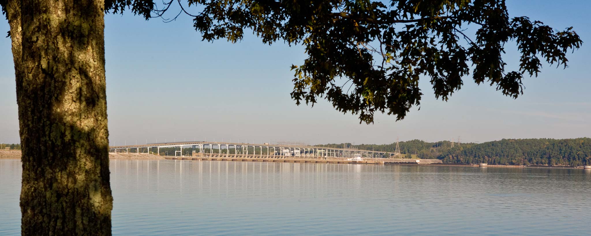 Pickwick