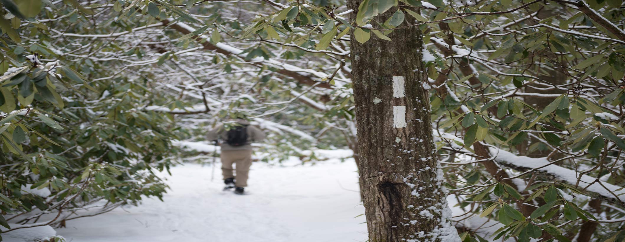 Winter Hiking