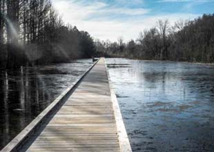 RiverLine