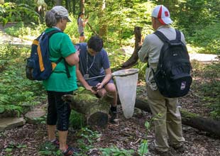 BioBlitz kids net sampling