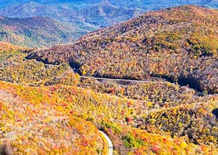 Fall color