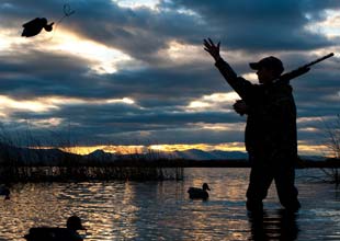 Duck Hunt