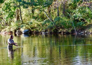 fly fishing