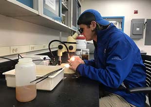 Jeff Simmons looking through microscope