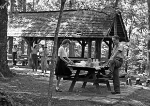 Picnic in 1930's