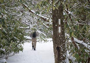 Winter Hiking Thumb