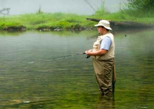 Man fishing trout