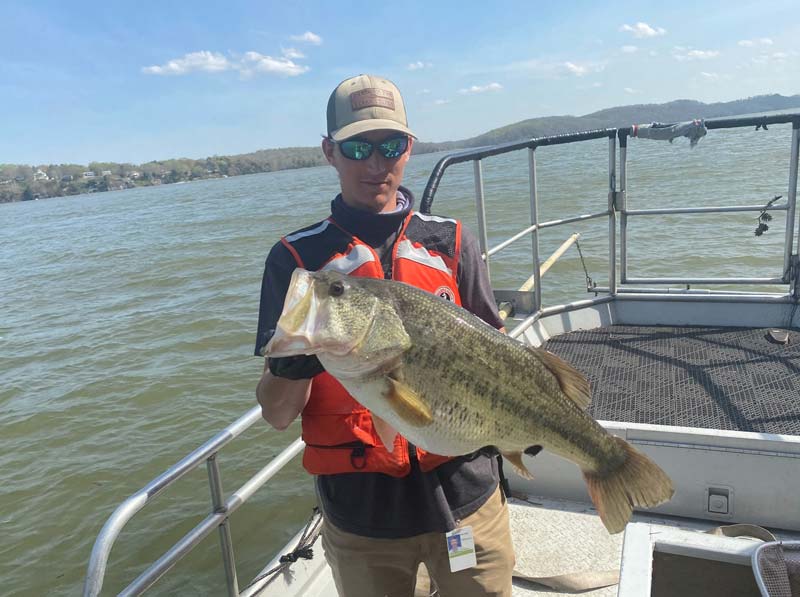 TVA fisheries biologists holding a fish