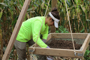 archaeology field survey