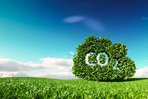 carbon reduction