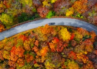 Aerial view of winding mountain road inside colorful autumn forest