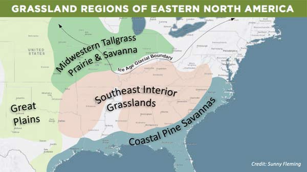 Grassland Regions of Eastern North America map