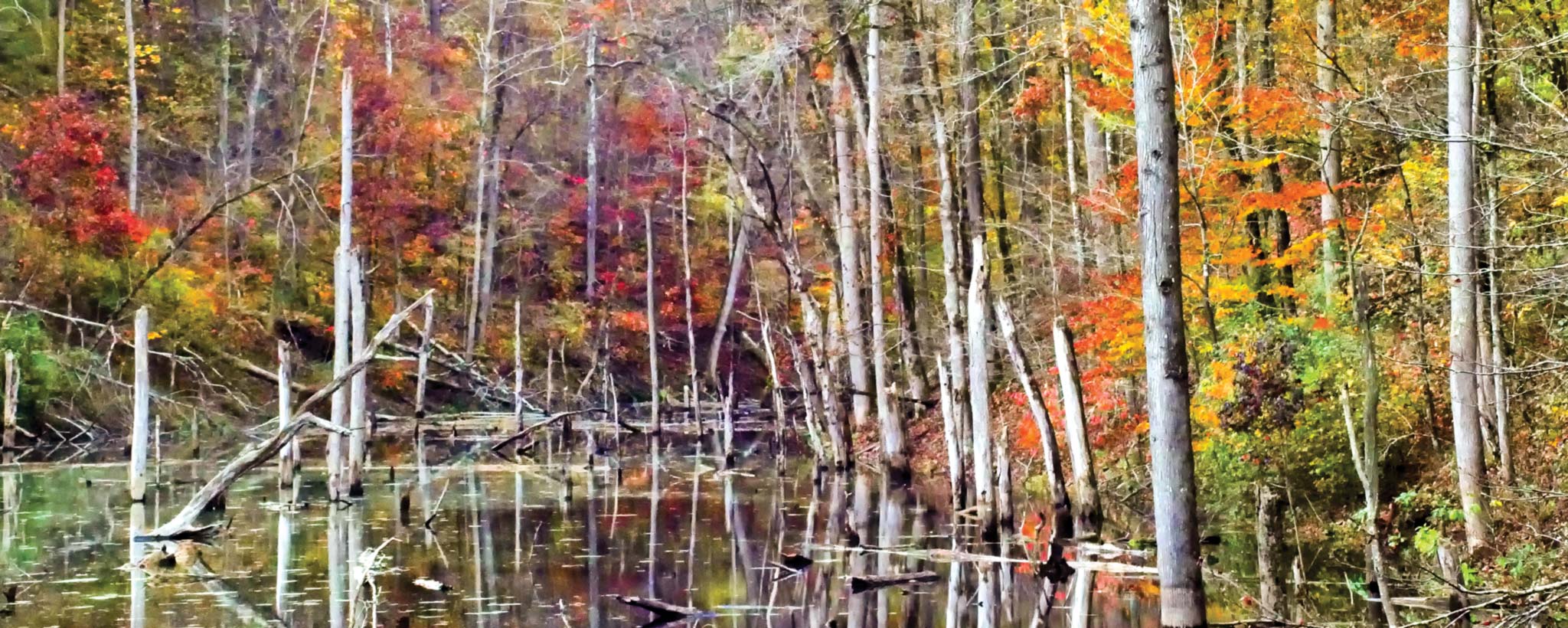 Colorful Autumn