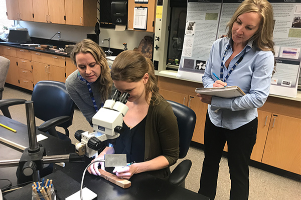 Students looking into the microscope