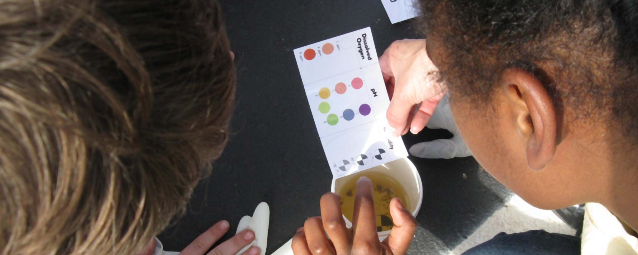 Kids Monitoring and Assessing Water Quality