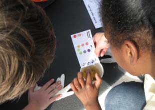 Kids Monitoring and Assessing Water Quality