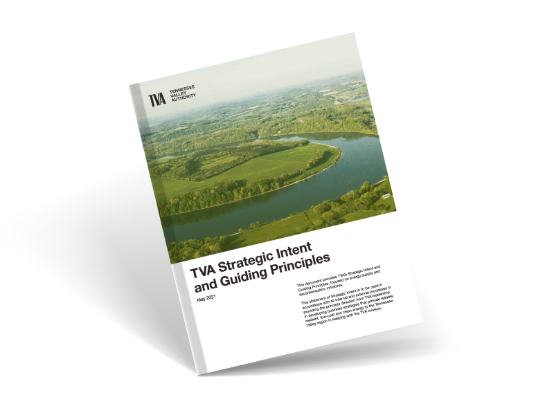 Strategic Intent Guidelines Cover Strategic Intent and Guiding Principles cover
