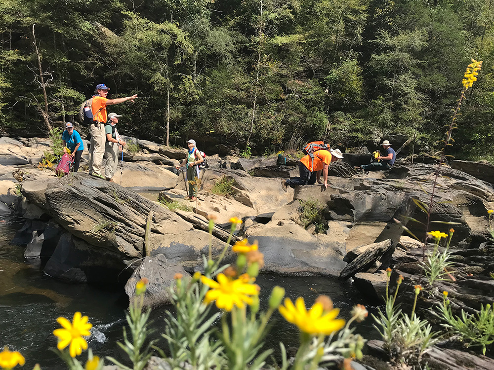 Dattilo and volunteers with Ruth's Golden Aster