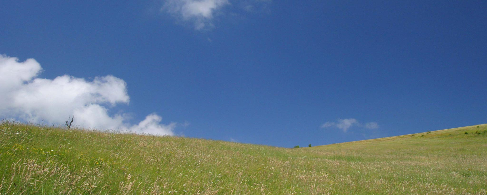 landscape with blue sky