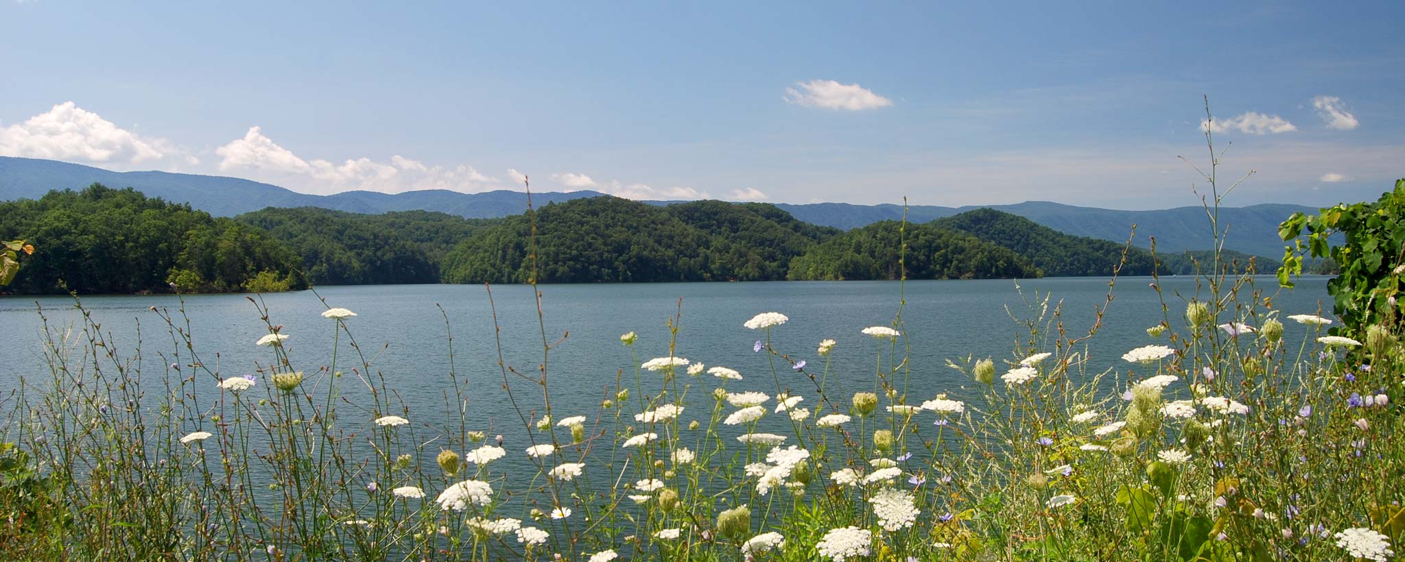 rlmp_scenic_image_banner_s_holson_daisy-hero lake with flowers