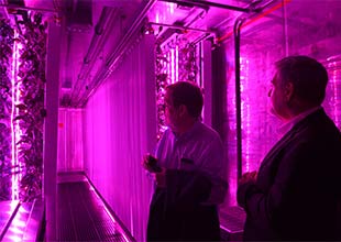 Gary Brinkworth and  Mike Bolin in an electric farm
