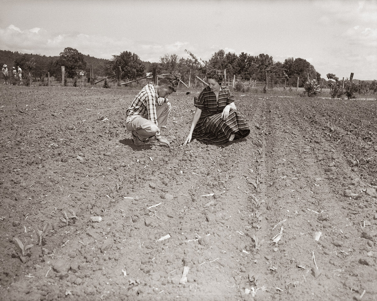 Blissful Acres Farm