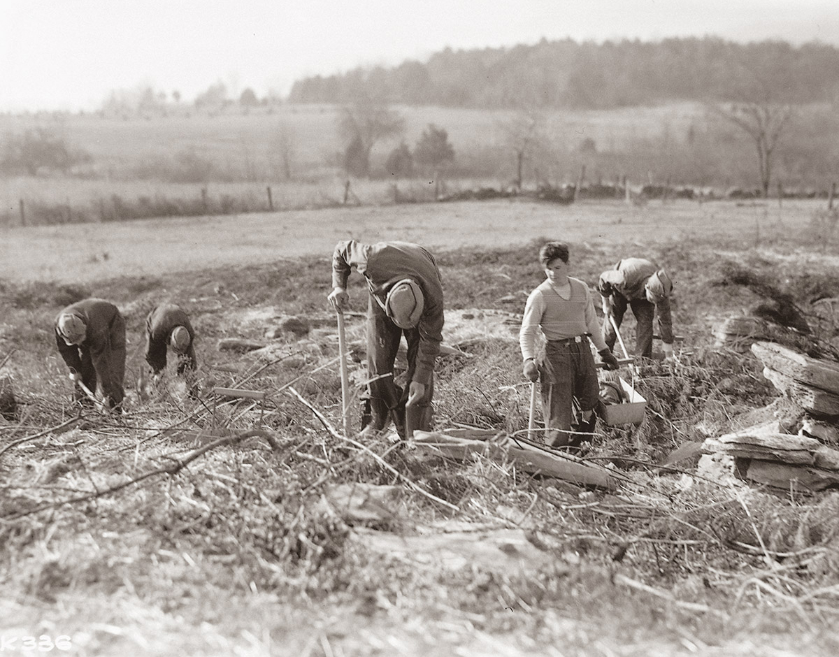 Farmers in a farm