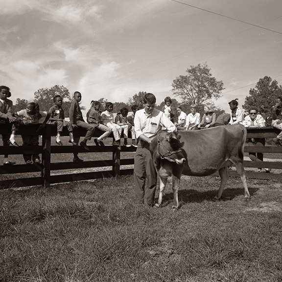 Children at Farm