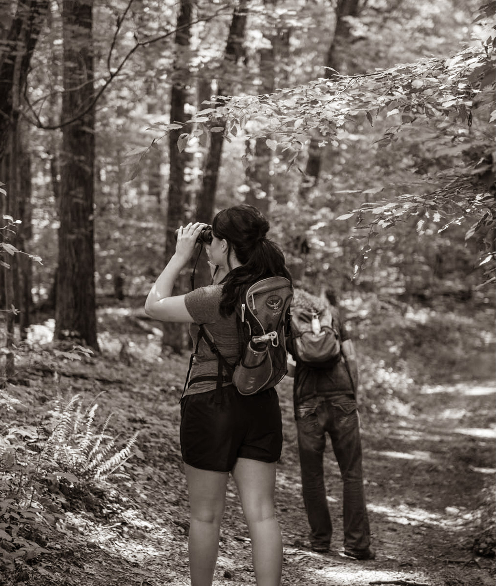 hiking